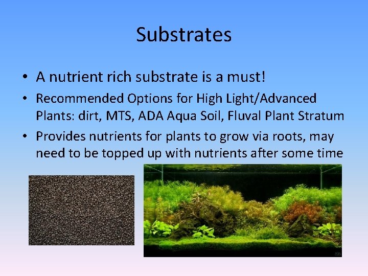 Substrates • A nutrient rich substrate is a must! • Recommended Options for High