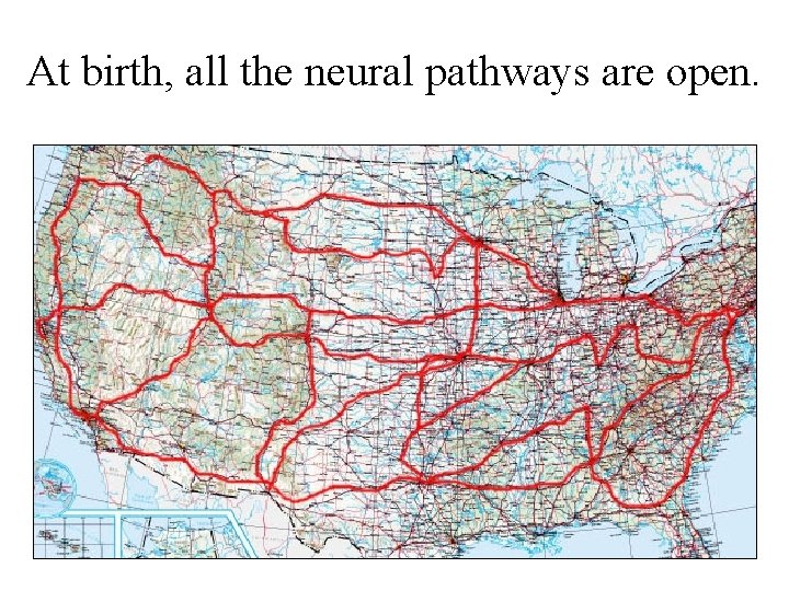 At birth, all the neural pathways are open. 
