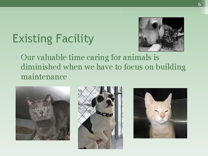 6 Existing Facility • Our valuable time caring for animals is diminished when we
