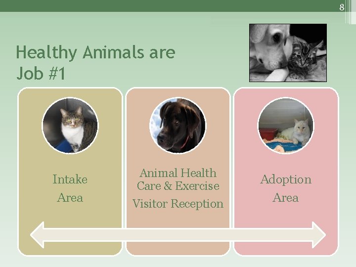 8 Healthy Animals are Job #1 Intake Area Animal Health Care & Exercise Visitor