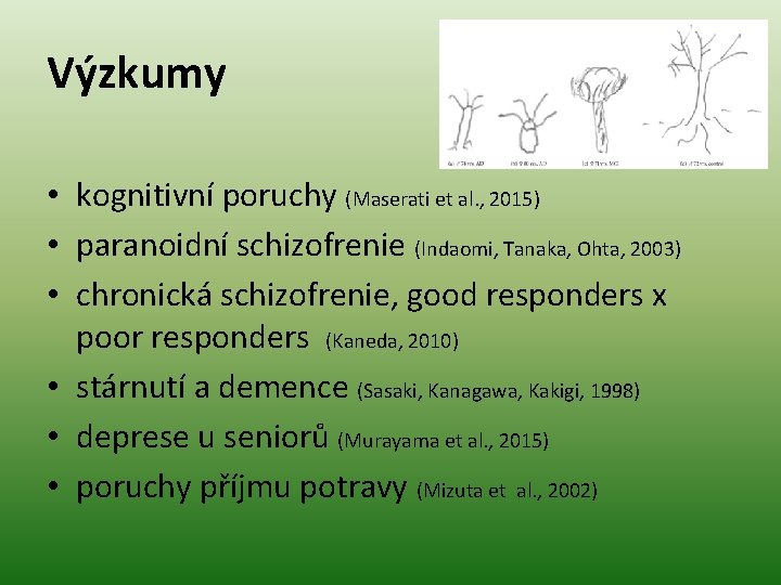 Výzkumy • kognitivní poruchy (Maserati et al. , 2015) • paranoidní schizofrenie (Indaomi, Tanaka,