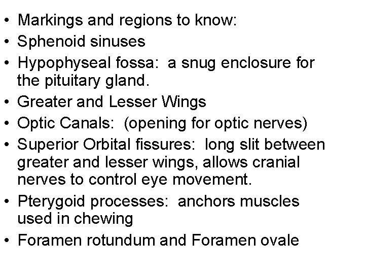  • Markings and regions to know: • Sphenoid sinuses • Hypophyseal fossa: a