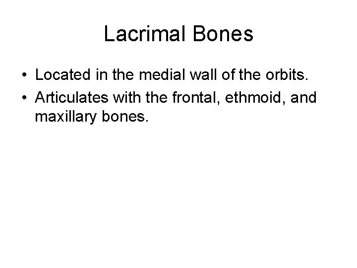 Lacrimal Bones • Located in the medial wall of the orbits. • Articulates with