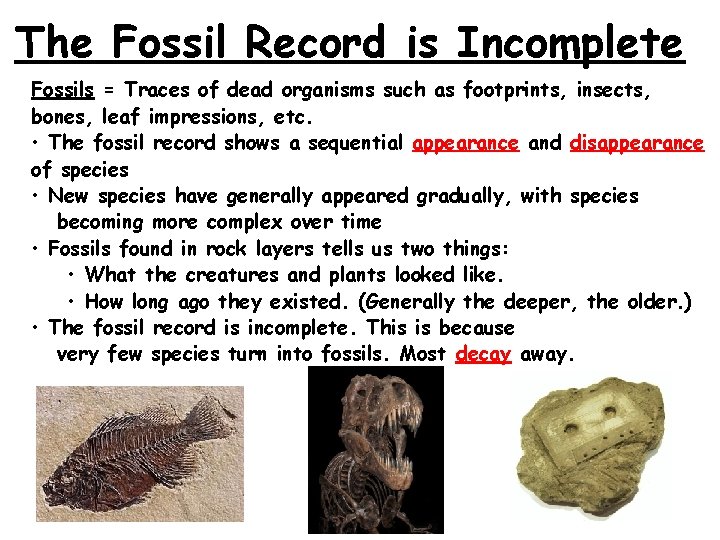 The Fossil Record is Incomplete Fossils = Traces of dead organisms such as footprints,