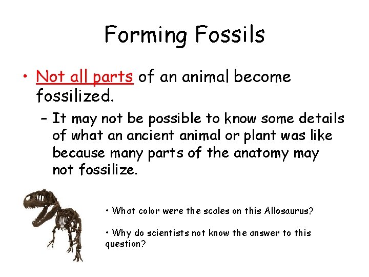 Forming Fossils • Not all parts of an animal become fossilized. – It may