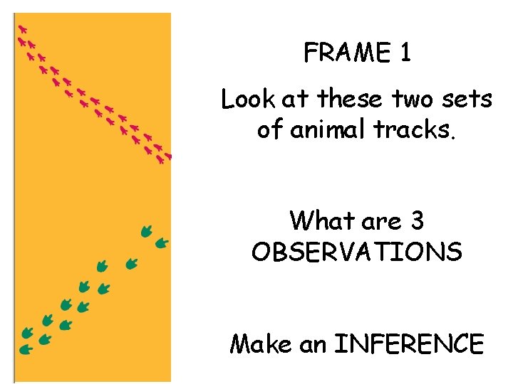 FRAME 1 Look at these two sets of animal tracks. What are 3 OBSERVATIONS