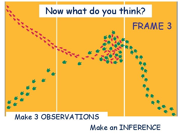 Now what do you think? FRAME 3 Make 3 OBSERVATIONS Make an INFERENCE 