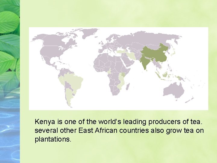 Kenya is one of the world’s leading producers of tea. several other East African
