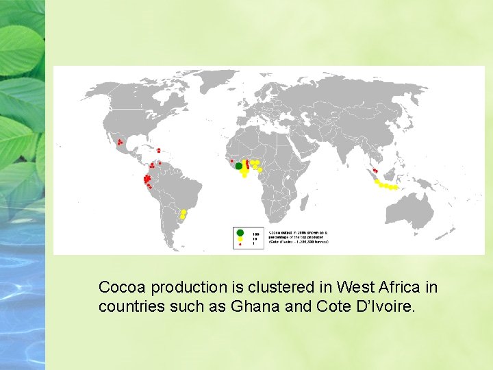 Cocoa production is clustered in West Africa in countries such as Ghana and Cote