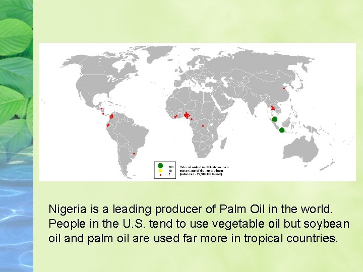Nigeria is a leading producer of Palm Oil in the world. People in the