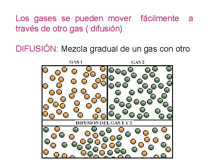 Los gases se pueden mover través de otro gas ( difusión) fácilmente a DIFUSIÓN: