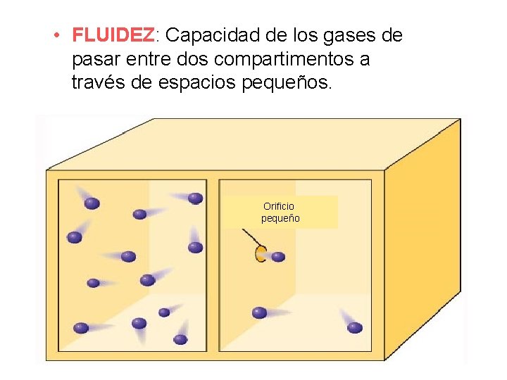  • FLUIDEZ: Capacidad de los gases de pasar entre dos compartimentos a través