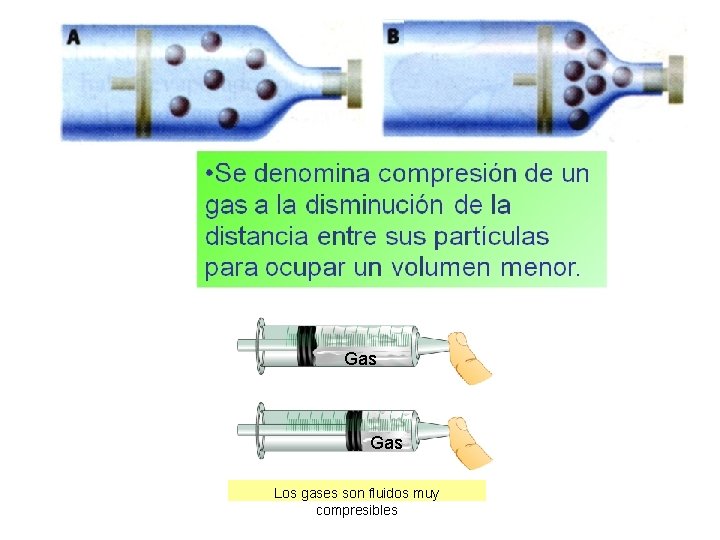 Gas Los gases son fluidos muy compresibles 