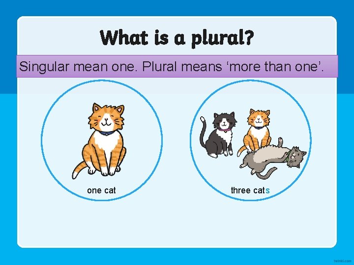 What is a plural? Singular mean one. Plural means ‘more than one’. one cat