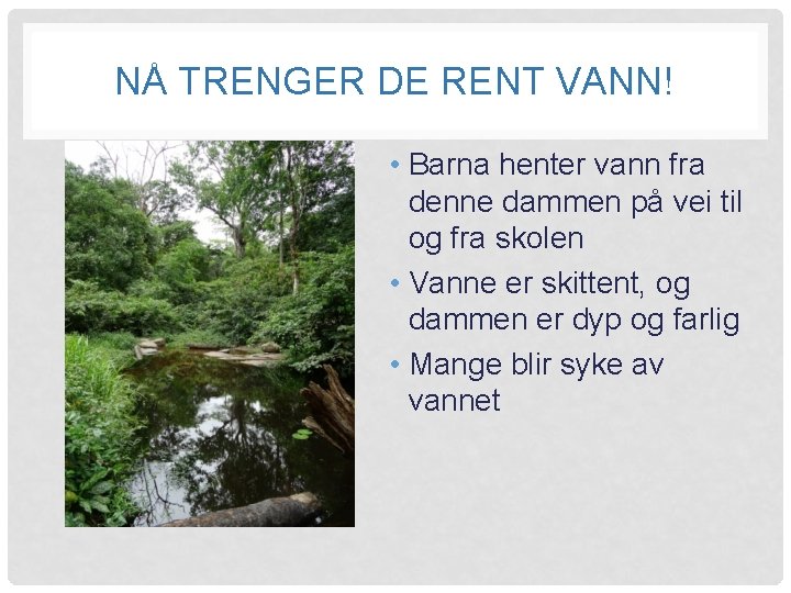 NÅ TRENGER DE RENT VANN! • Barna henter vann fra denne dammen på vei