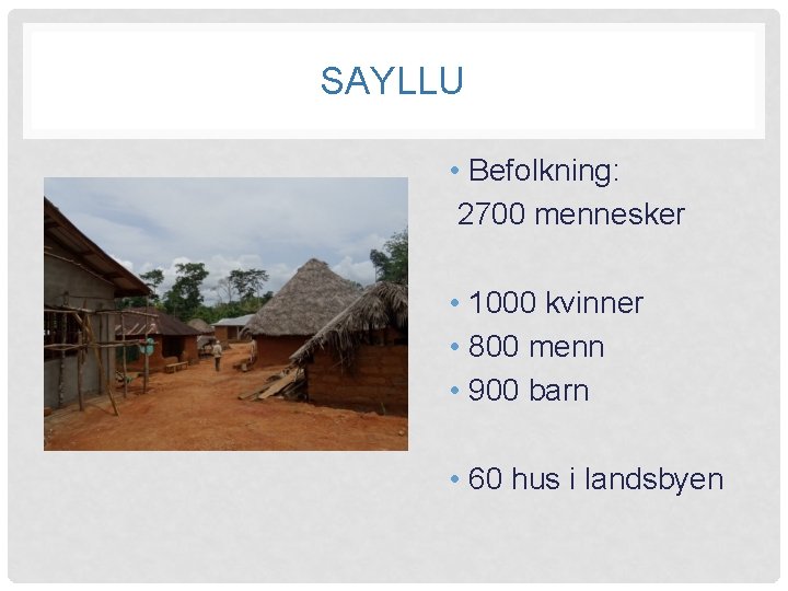 SAYLLU • Befolkning: 2700 mennesker • 1000 kvinner • 800 menn • 900 barn