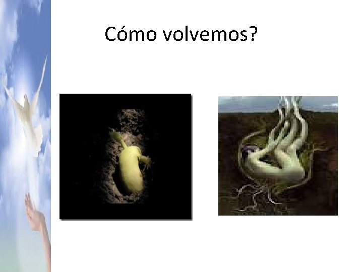 Cómo volvemos? 