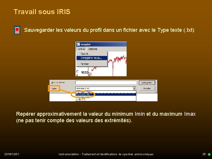 Travail sous IRIS Sauvegarder les valeurs du profil dans un fichier avec le Type