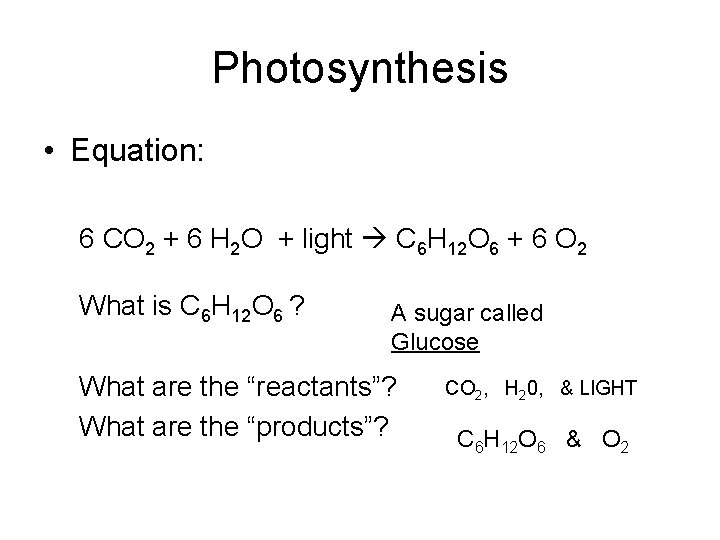 Photosynthesis • Equation: 6 CO 2 + 6 H 2 O + light C