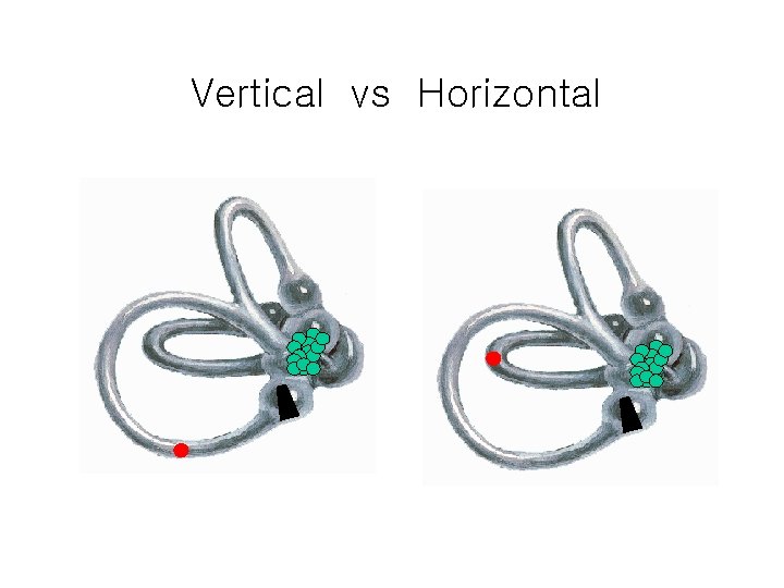 Vertical vs Horizontal 