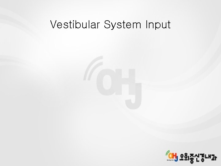 Vestibular System Input 