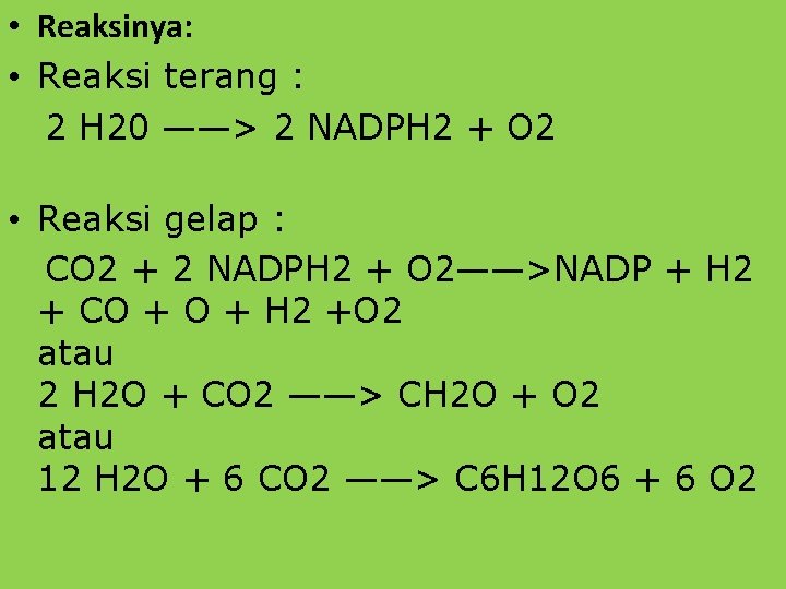  • Reaksinya: • Reaksi terang : 2 H 20 ——> 2 NADPH 2