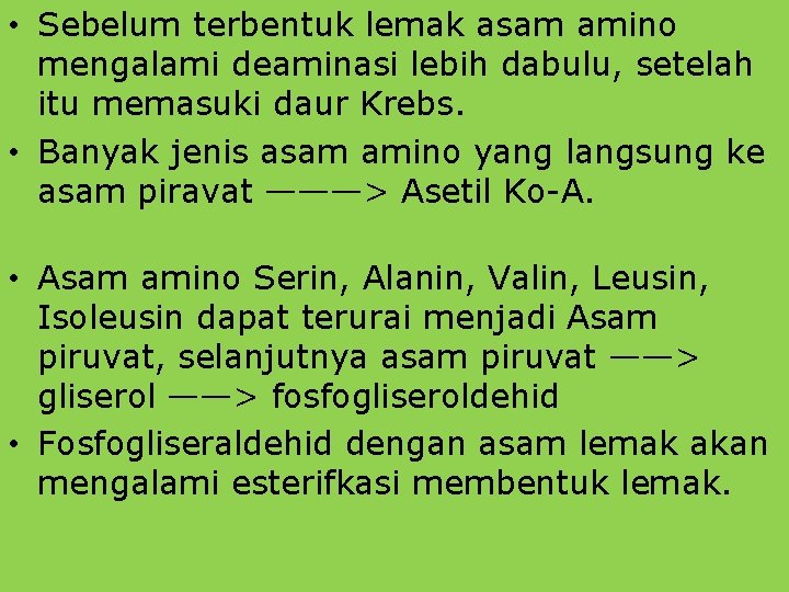  • Sebelum terbentuk lemak asam amino mengalami deaminasi lebih dabulu, setelah itu memasuki