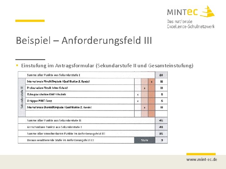 Beispiel – Anforderungsfeld III § Einstufung im Antragsformular (Sekundarstufe II und Gesamteinstufung) www. mint-ec.