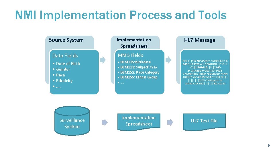 NMI Implementation Process and Tools Source System Implementation Spreadsheet Data Fields MMG Fields •