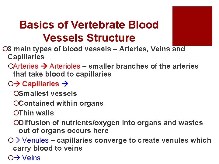 Basics of Vertebrate Blood Vessels Structure ¡ 3 main types of blood vessels –