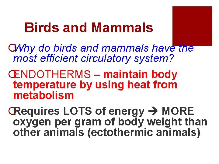 Birds and Mammals ¡Why do birds and mammals have the most efficient circulatory system?