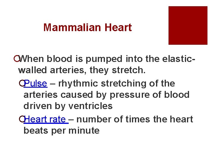 Mammalian Heart ¡When blood is pumped into the elasticwalled arteries, they stretch. ¡Pulse –