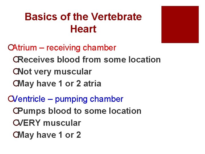 Basics of the Vertebrate Heart ¡Atrium – receiving chamber ¡Receives blood from some location