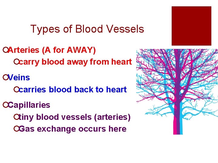 Types of Blood Vessels ¡Arteries (A for AWAY) ¡carry blood away from heart ¡Veins