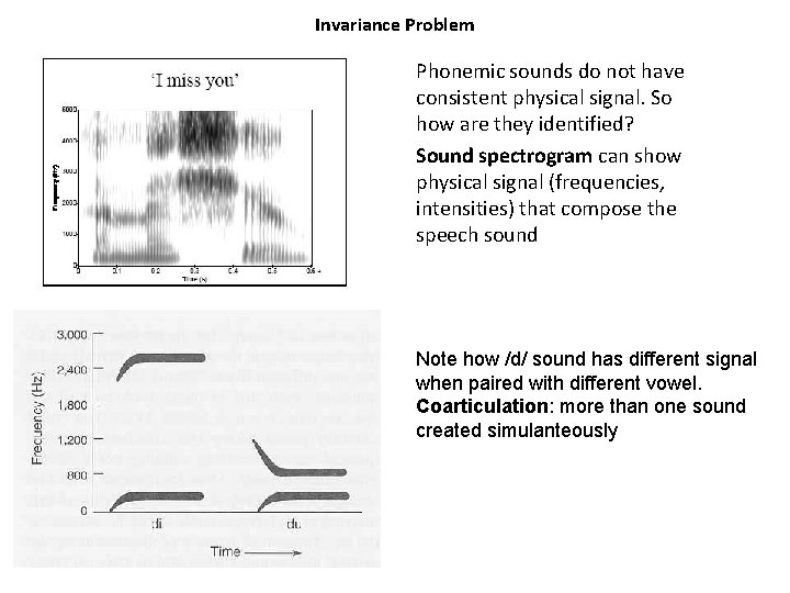 Invariance Problem Phonemic sounds do not have consistent physical signal. So how are they Invariance Problem Phonemic sounds do not have consistent physical signal. So how are they