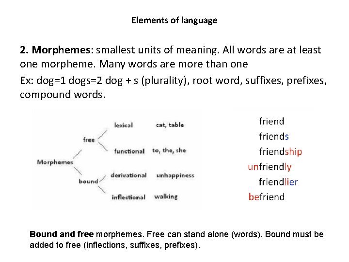 Elements of language 2. Morphemes: smallest units of meaning. All words are at least Elements of language 2. Morphemes: smallest units of meaning. All words are at least