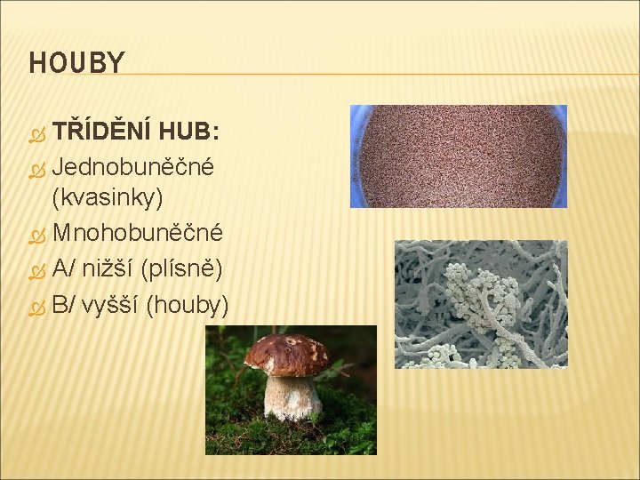 HOUBY TŘÍDĚNÍ HUB: Jednobuněčné (kvasinky) Mnohobuněčné A/ nižší (plísně) B/ vyšší (houby) 