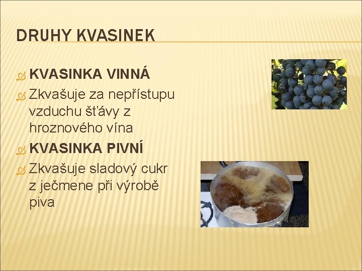 DRUHY KVASINEK KVASINKA VINNÁ Zkvašuje za nepřístupu vzduchu šťávy z hroznového vína KVASINKA PIVNÍ