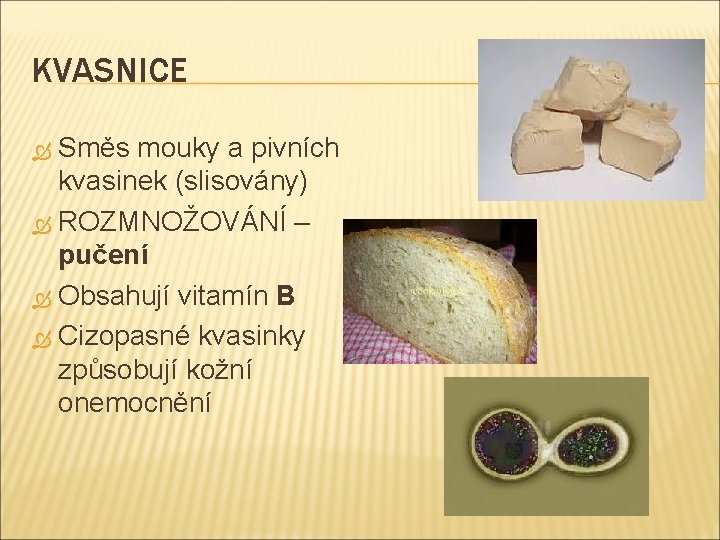 KVASNICE Směs mouky a pivních kvasinek (slisovány) ROZMNOŽOVÁNÍ – pučení Obsahují vitamín B Cizopasné