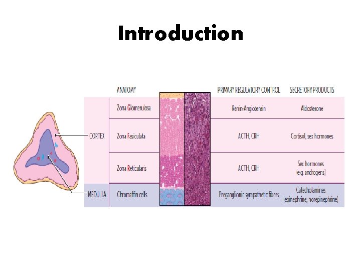 Introduction 