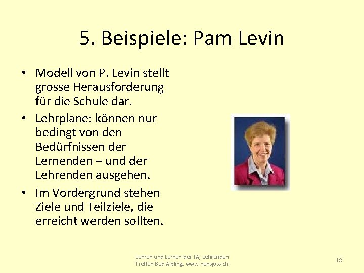 5. Beispiele: Pam Levin • Modell von P. Levin stellt grosse Herausforderung für die