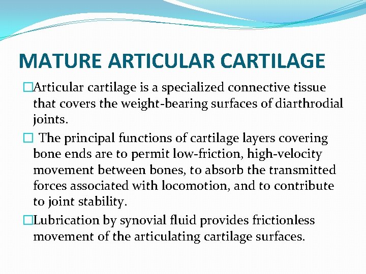 MATURE ARTICULAR CARTILAGE �Articular cartilage is a specialized connective tissue that covers the weight-bearing
