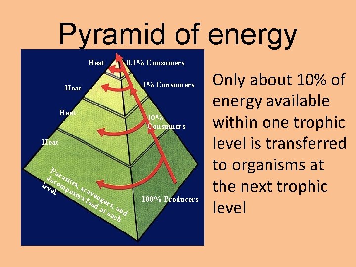 Pyramid of energy Heat Pa dec rasit lev omp es, s el. ose cav