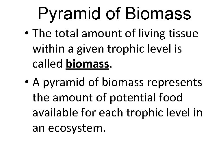 Pyramid of Biomass • The total amount of living tissue within a given trophic