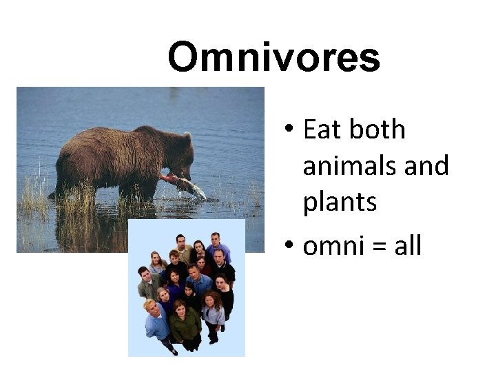Omnivores • Eat both animals and plants • omni = all 