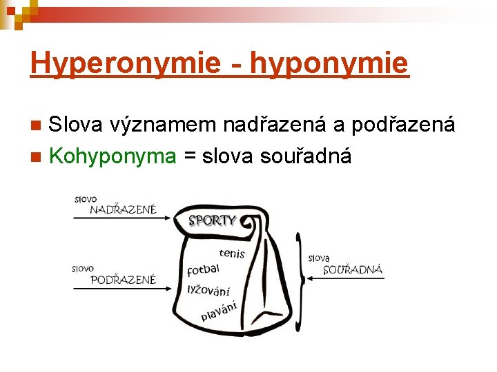 Hyperonymie - hyponymie Slova významem nadřazená a podřazená n Kohyponyma = slova souřadná n