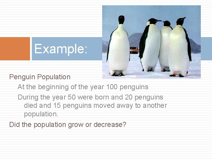 Example: Penguin Population At the beginning of the year 100 penguins During the year