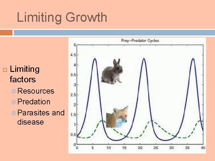 Limiting Growth Limiting factors Resources Predation Parasites disease and 