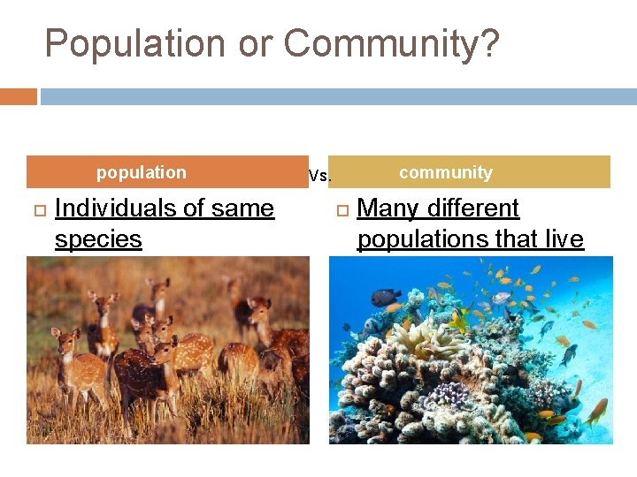 Population or Community? population Individuals of same species Live in same area community Vs.