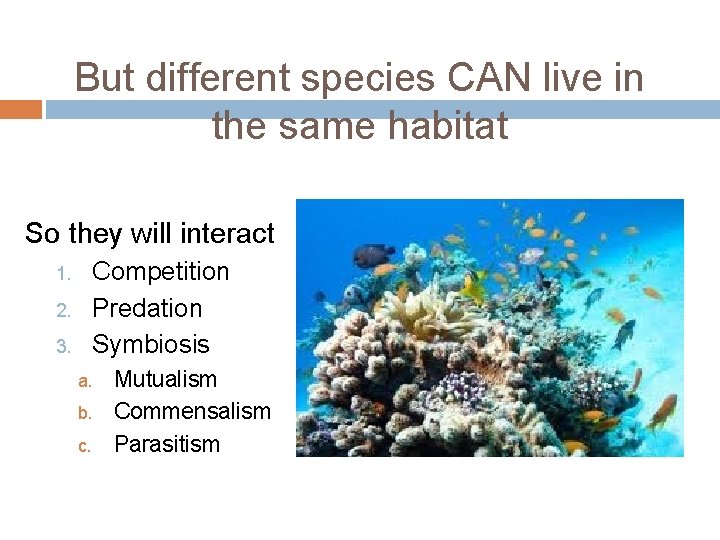 But different species CAN live in the same habitat So they will interact Competition